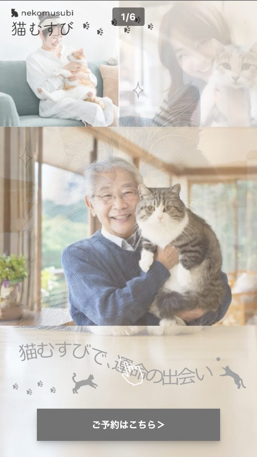 猫むすび
