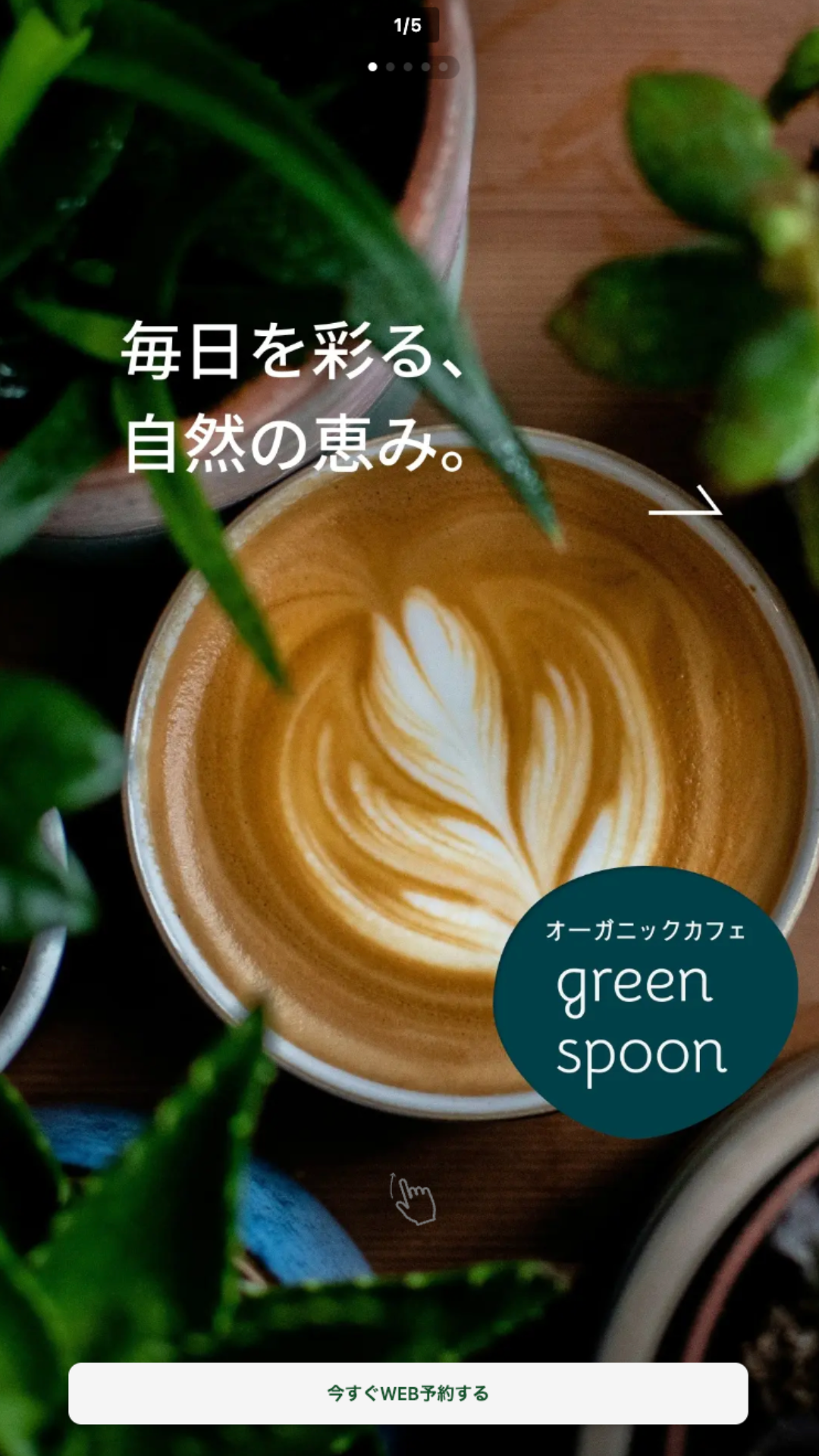 カフェグリーンスプーン